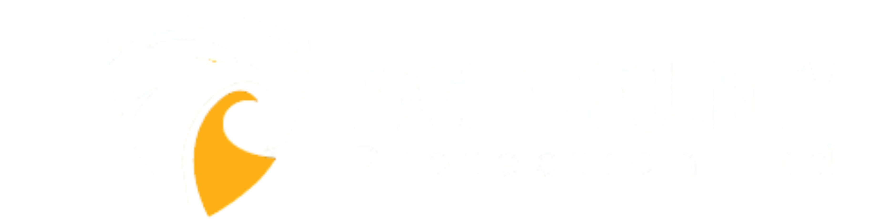 Eagle Security Protection